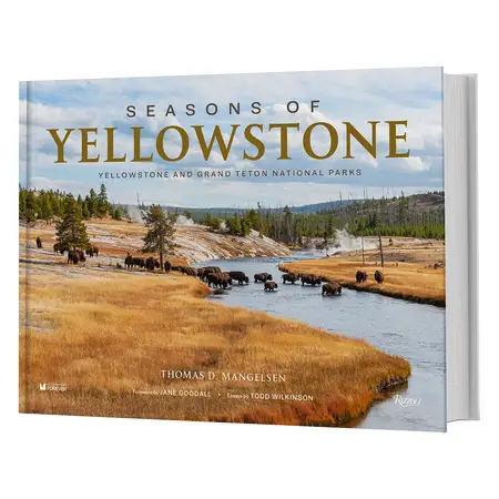Seasons of Yellowstone